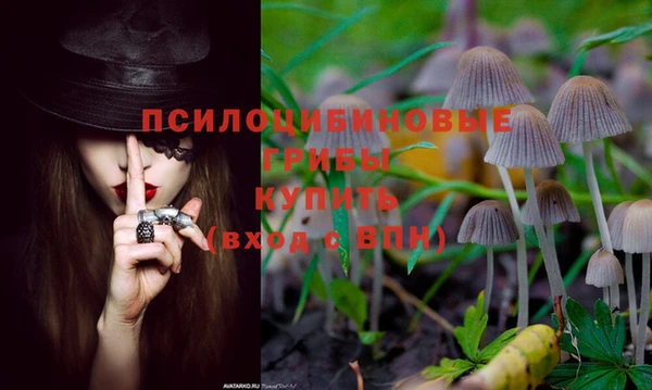 мет Баксан